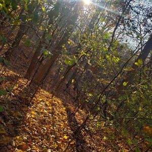 Meet your Posher, Fedaa